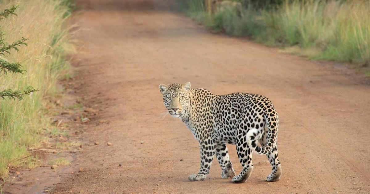 The Smartest Growth Stock to Buy With $1,000 in 2024