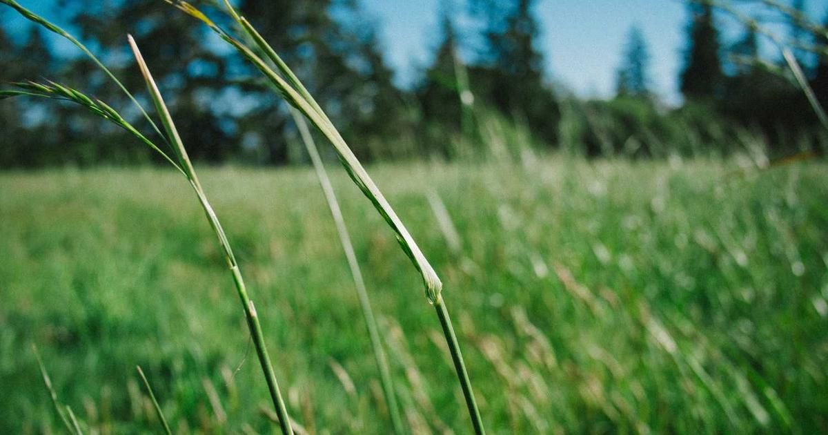 Venezuela Crisis Sparks Market Jitters: 2024 Trader Guide