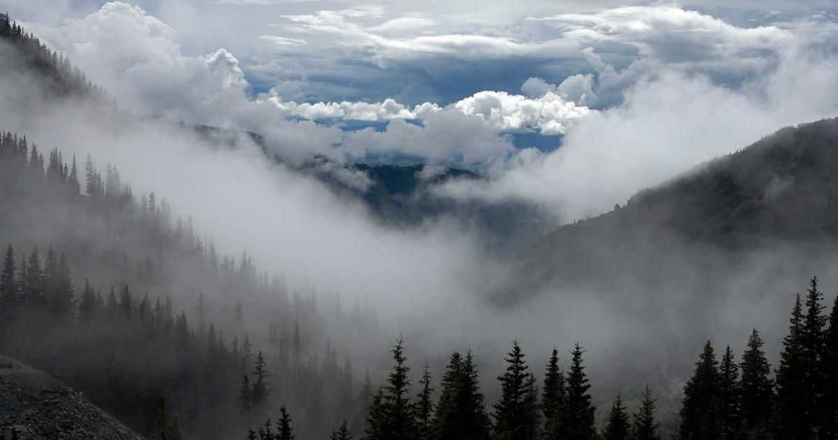 Agios Pharma CEO Sells $506,663 in Stock: Trader Analysis 2024