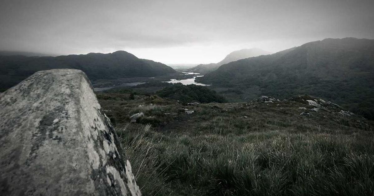 3 Stock-Split Stocks to Buy and Hold for a Decade (2024)