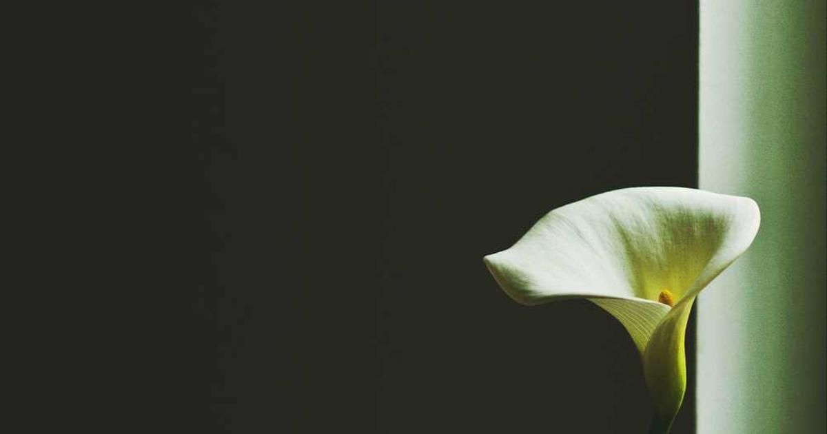 Silver vs. Gold Charts 2025: Key Trends for 2026 Trading