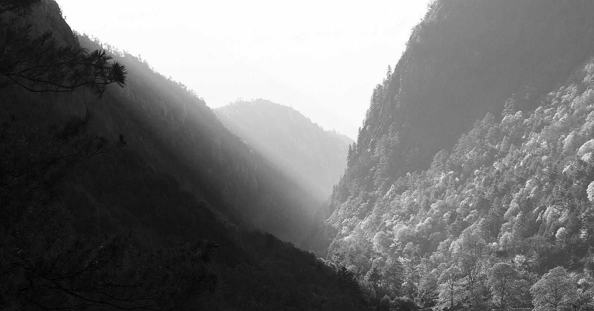 Cloudflare's Earnings Beat Sparks Analyst Optimism, But Can Growth Continue?