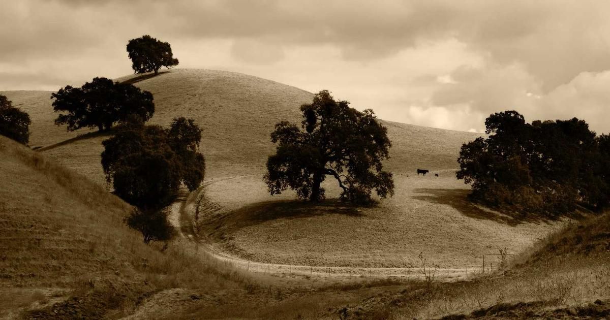 Toobit Partners with LALIGA: A Game-Changer for Crypto in 2024