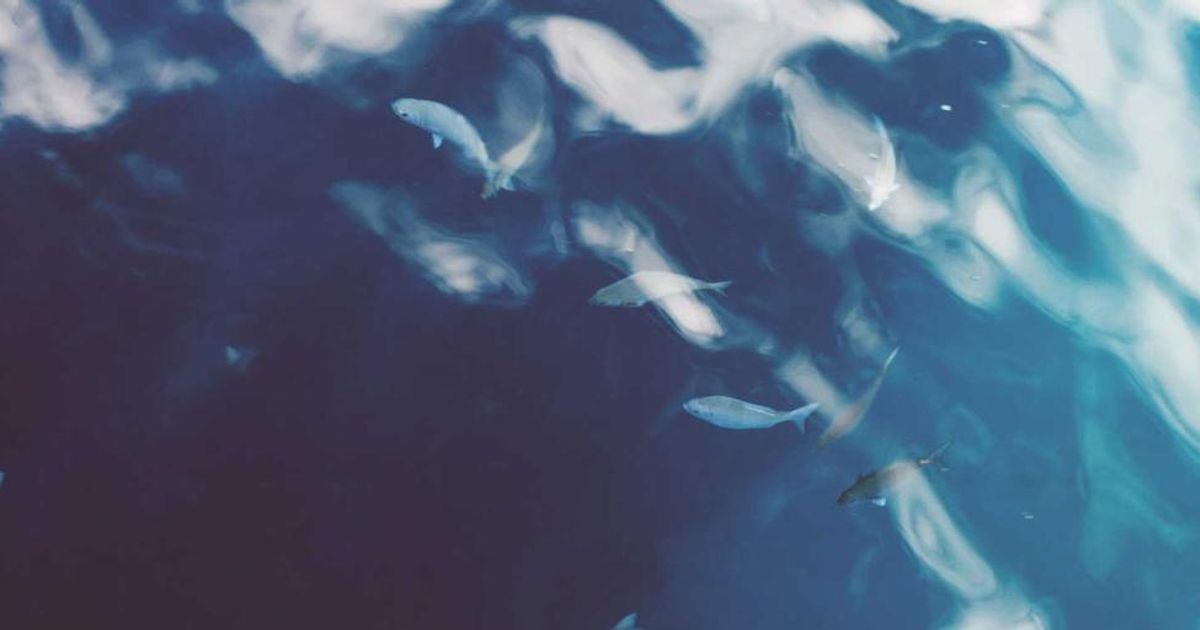 Tokenized Silver Volumes Explode as Price Hits Record Highs