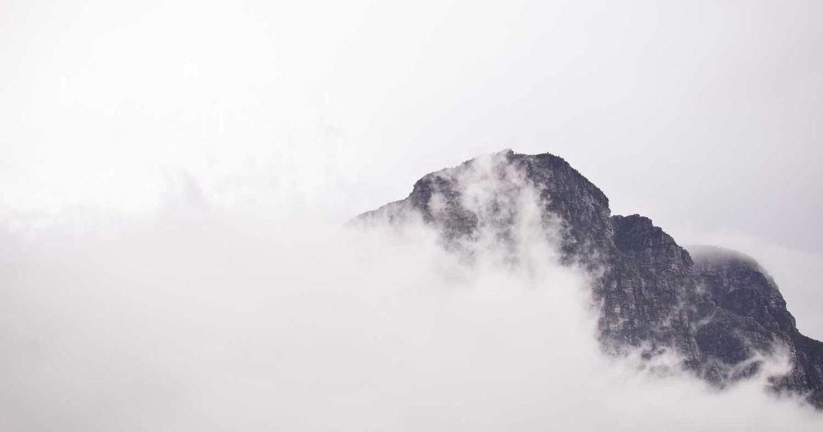 Trump Media's 1:1 Blockchain Token Rewards: A New Shareholder Perk