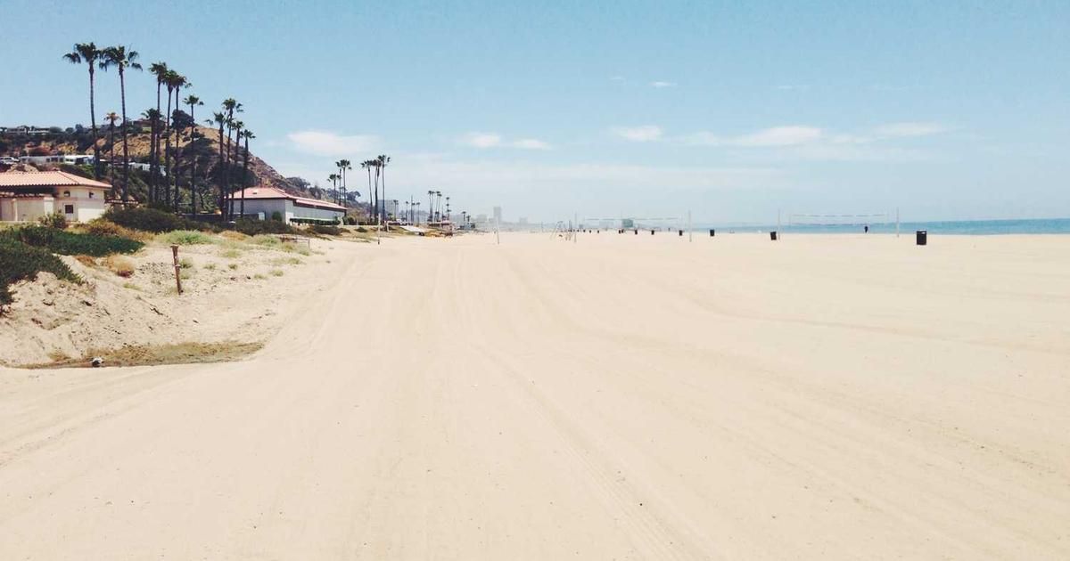 Metaplanet's Q4 Bitcoin Strategy: Defying Stock Slump in 2024