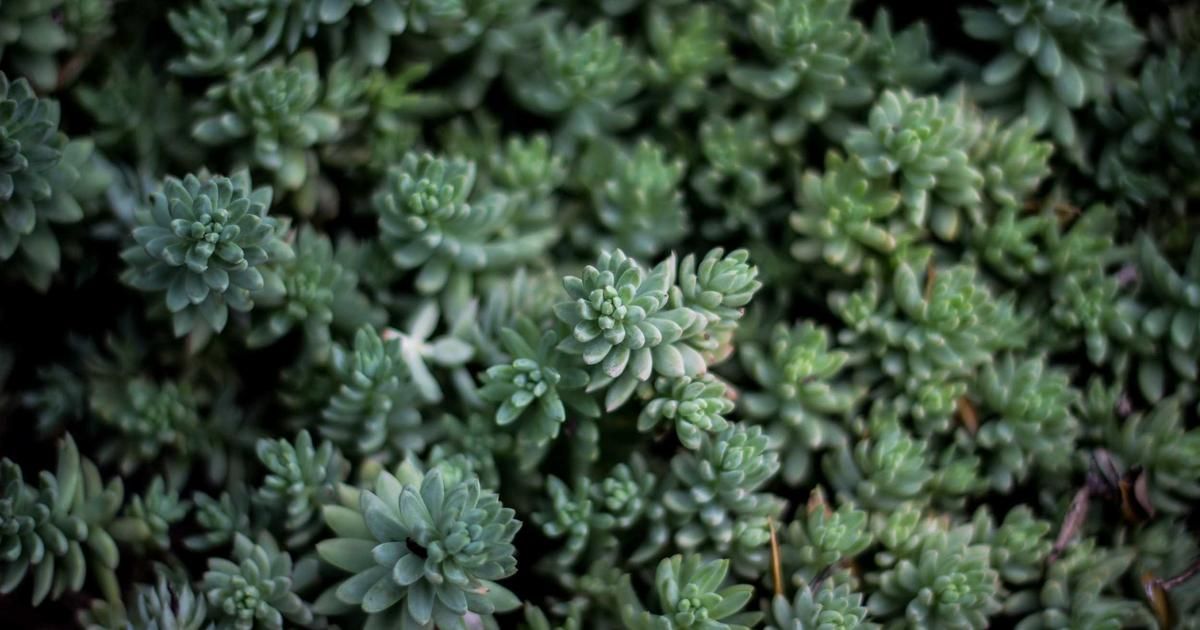 ETF Shakeout Looms as Crowded 'Non-Traditional' Strategies Face Reality Check