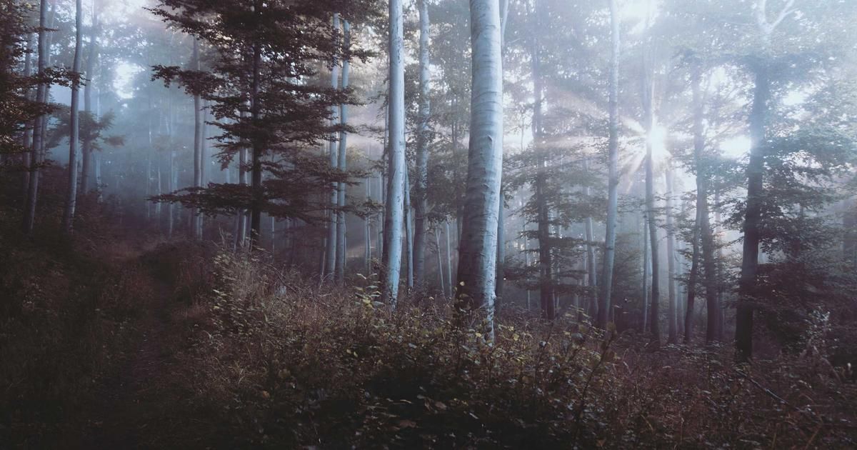 Bitcoin Surges Past $71K as IEA Moves to Calm Oil Markets