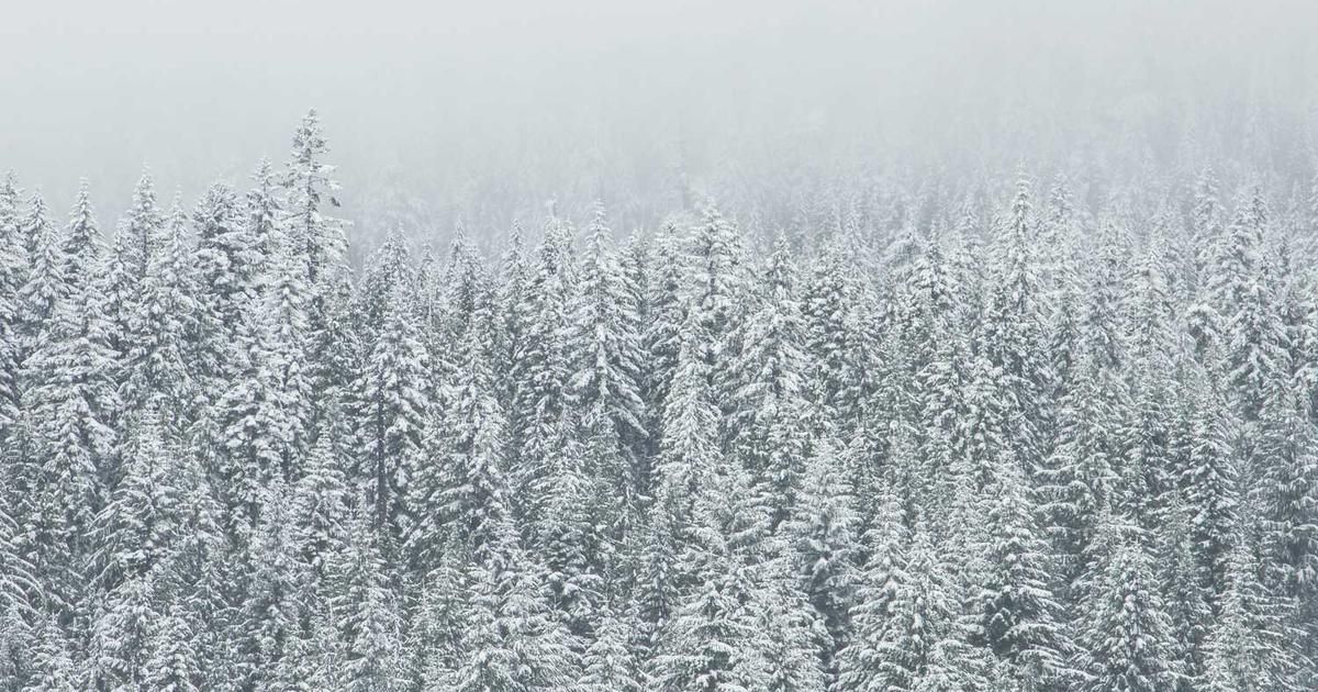 Venezuela Turmoil to Lift Oil Prices, But Supply Caps Gains in 2024