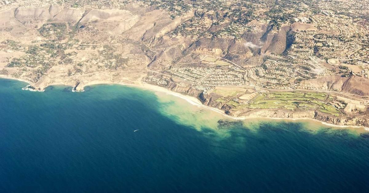 Nvidia's Groq Deal: How Its Balance Sheet Secures AI Dominance in 2024