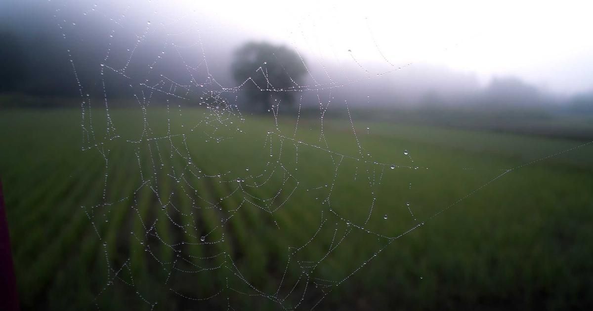 Hubbell's Proxy Filing Signals Strategic Shifts, Dividend Focus in 2024