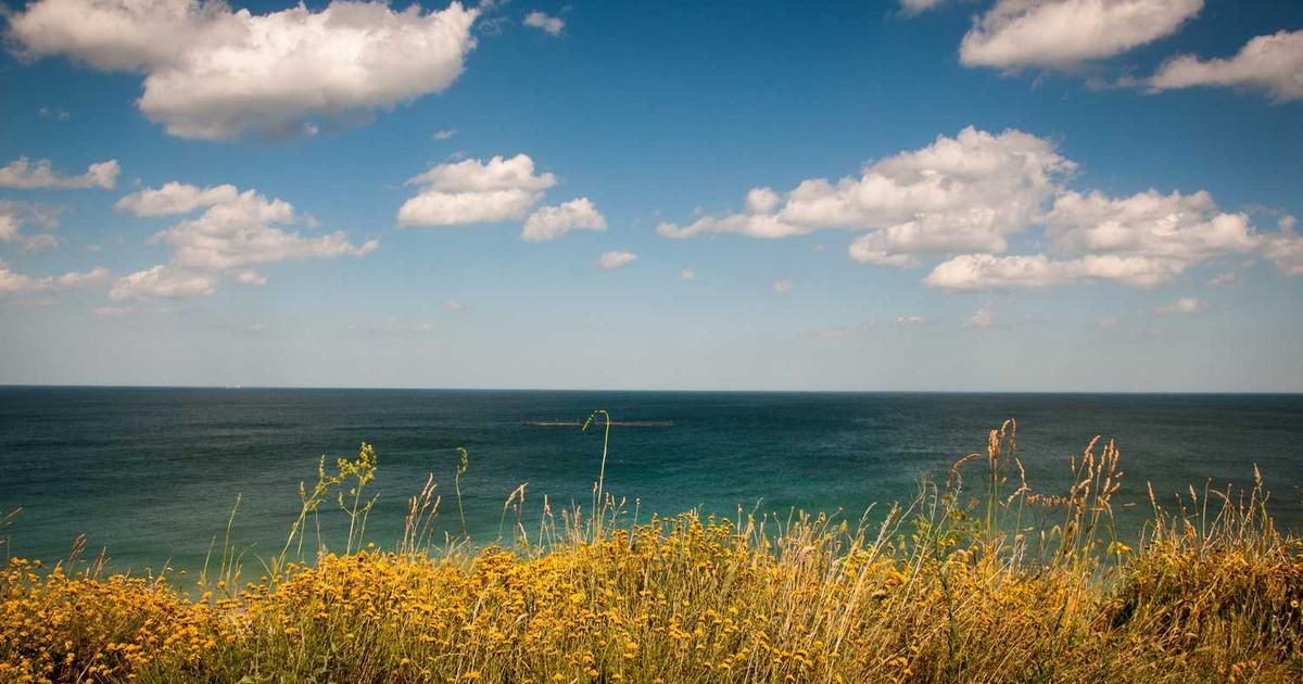 Oil Prices Fall After US Captures Maduro: Trader Analysis 2024