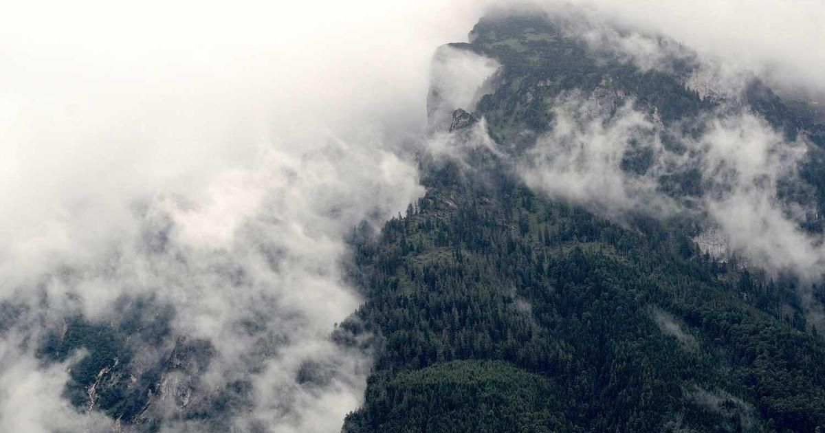 Is $0.80 XRP Coming? Analyst's 2024 Warning Signs