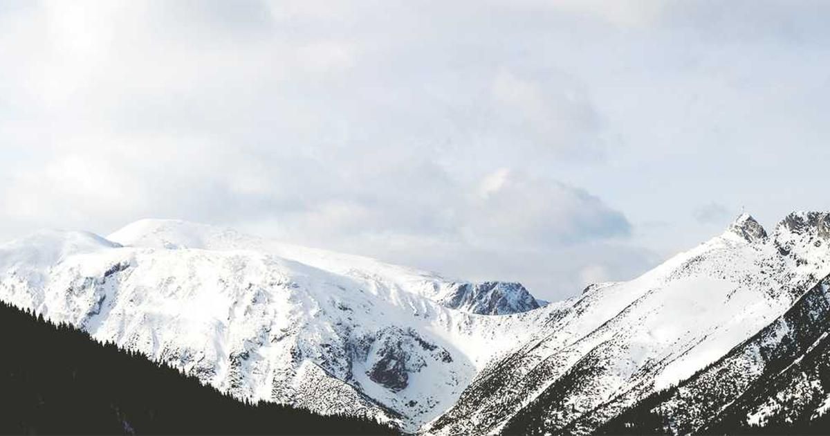 Broadcom CLO Sells $9.1M in Stock: What Traders Need to Know