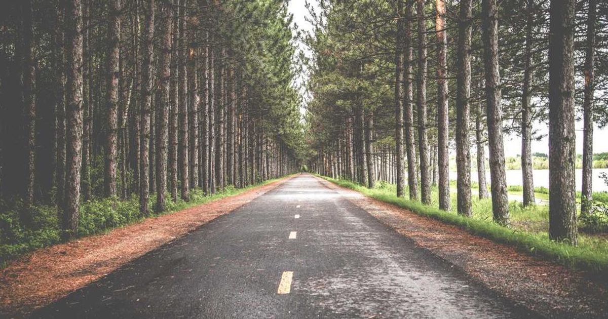 Tether Blacklists 7,268 Wallets vs. Circle’s 372: What Traders Must Know