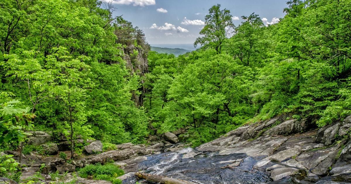 Investing.com's Top Picks: A Deep Dive into This Week's Market Movers