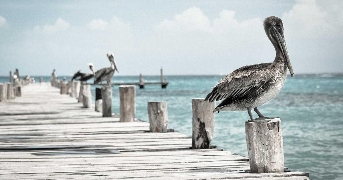 BofA Downgrades Figure Tech: Valuation Alarm or Buying Opportunity?