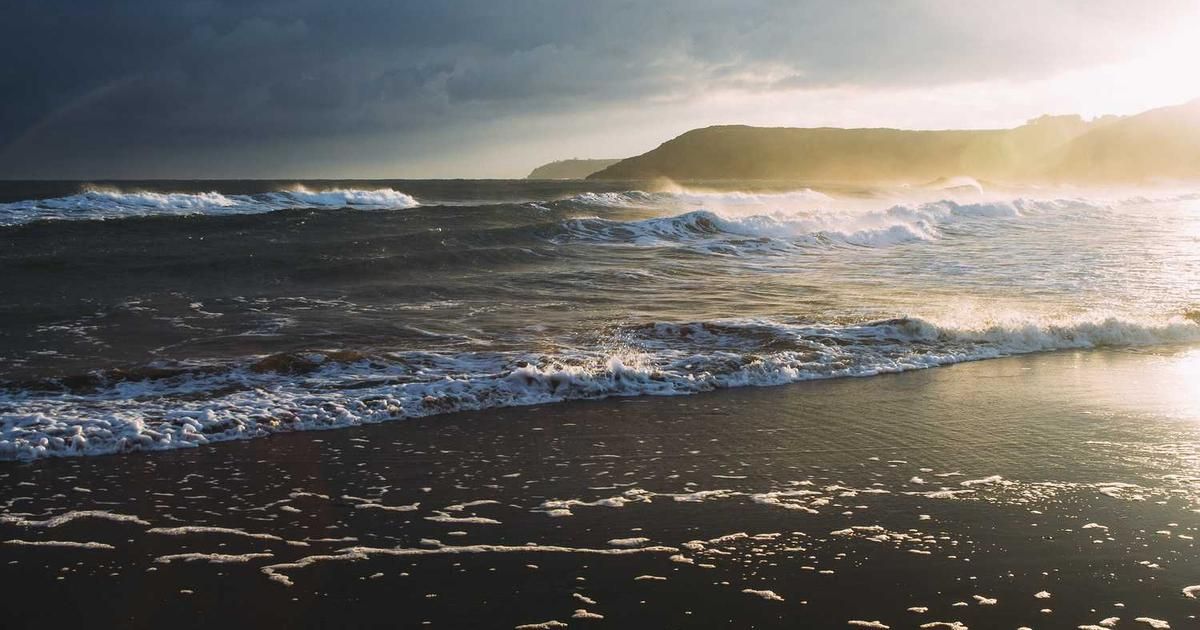 Semiconductors Lead Tech Rebound: NVDA, AMD Surge in 2024 Rally