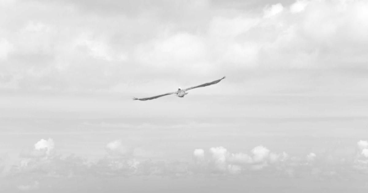 Crypto Market Slump: AAVE Leads Declines as Bitcoin Cash Stands Alone