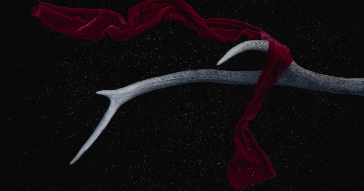 Trump's Endorsement of Nexstar-Tegna Deal Signals Political Shift in Media