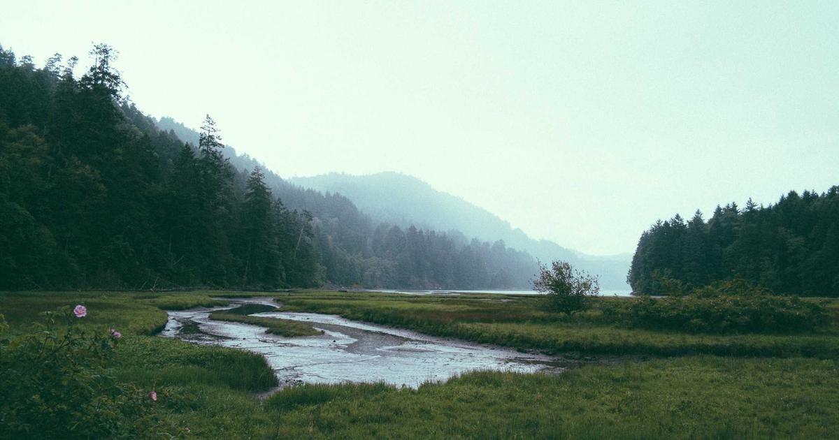 Klarna's Stock Plunge: A Buying Opportunity or Value Trap for Investors?