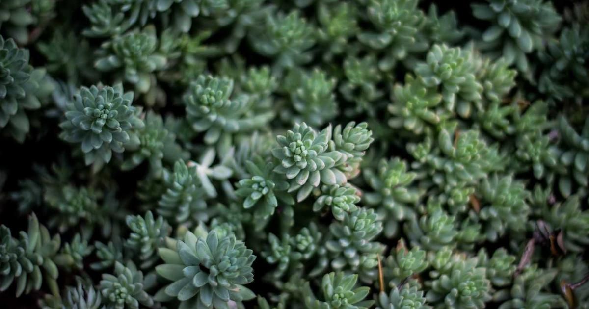 Buffett's Exit Puts Spotlight on Berkshire's $189B Cash Pile in 2024