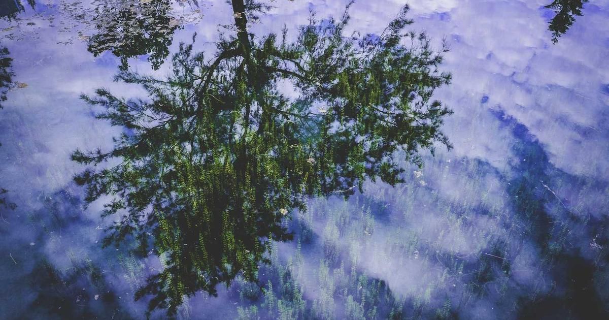 BNY Raises 2024 Profit Target as Turnaround Gains Momentum