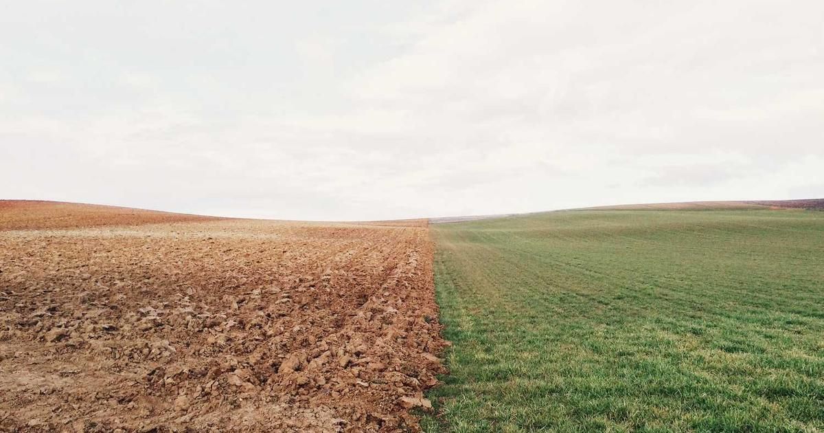 Ethereum's 'Walkaway Test': Buterin's 100-Year Vision for 2024