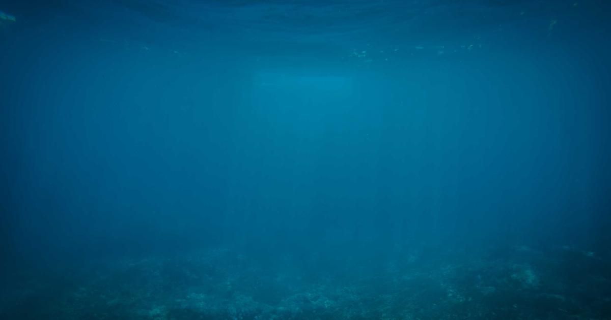 Bitcoin's Resilience Tested as Crypto Rebounds Amid Global Risk-On Shift