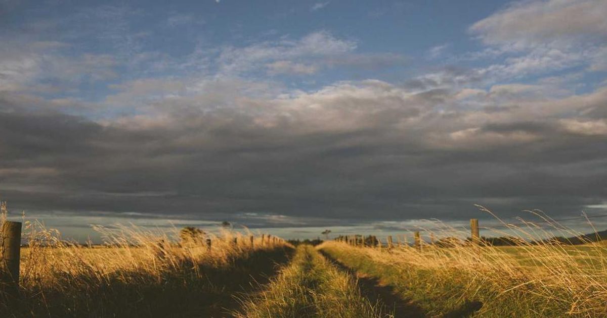 PBOC Sets USD/CNY Mid-Point at 7.0331, Signaling Policy Shift