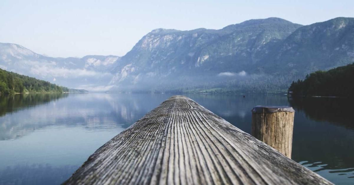 Fortinet Q4 Earnings Preview 2024: Key Metrics for Traders