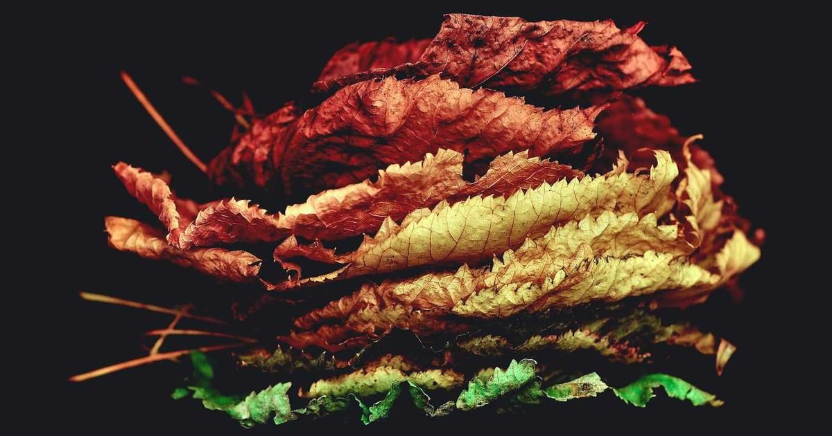 Fed's Barkin: 2026 Outlook Brightens as Economic Fog Lifts