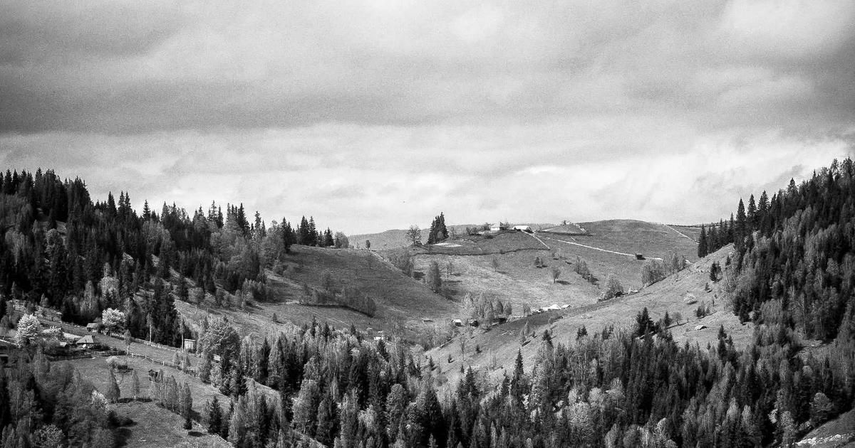 Stripe Eyes PayPal in Potential Fintech Megadeal, Crypto Implications Loom