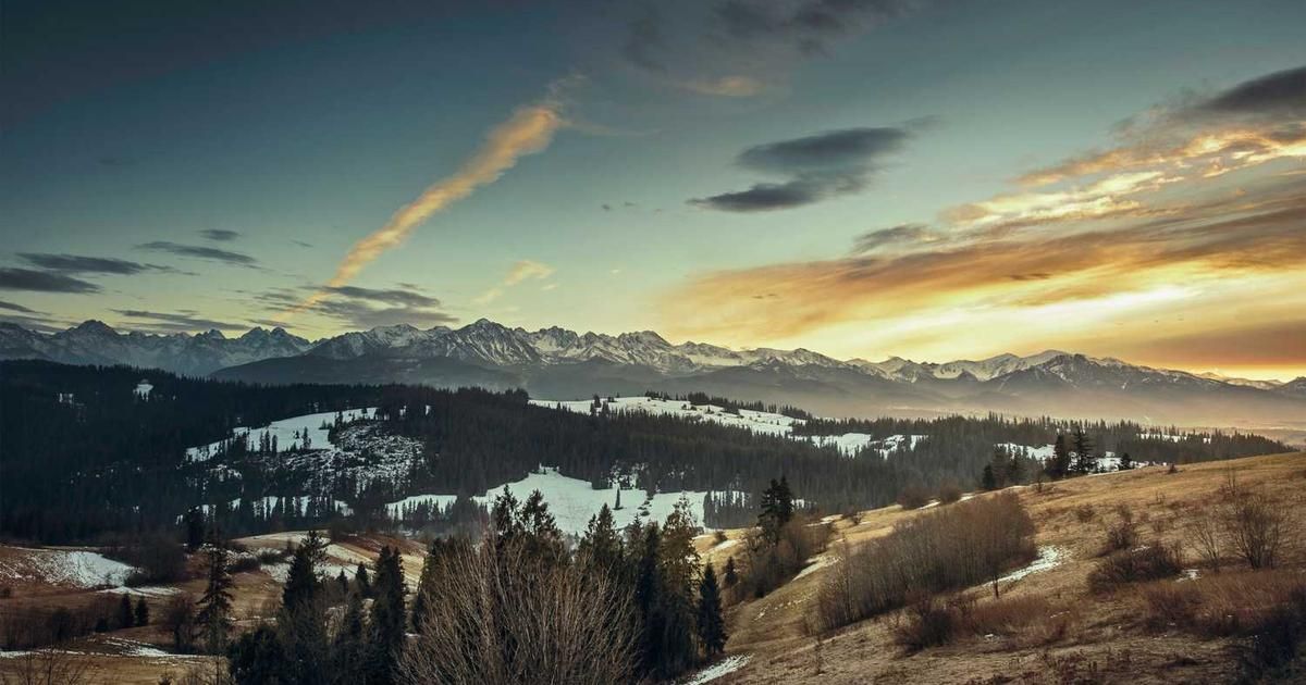 Memory Stocks Could Dominate in 2026: Buy Micron Now?