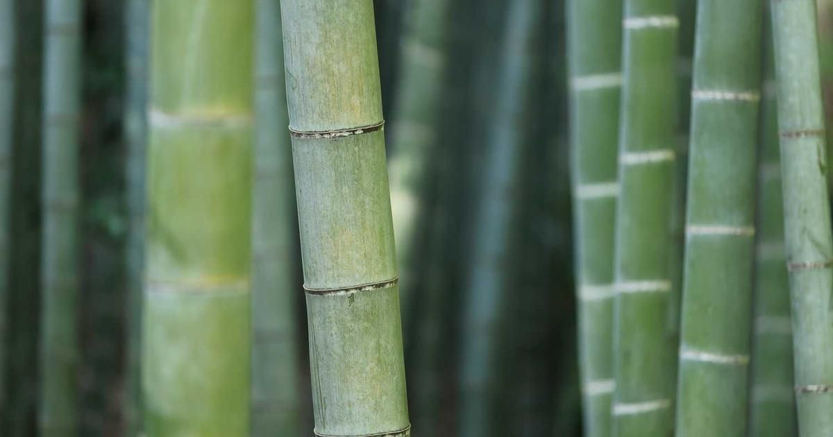 Mike Johnson to Address UK Parliament: Geopolitical & Market Impact 2024