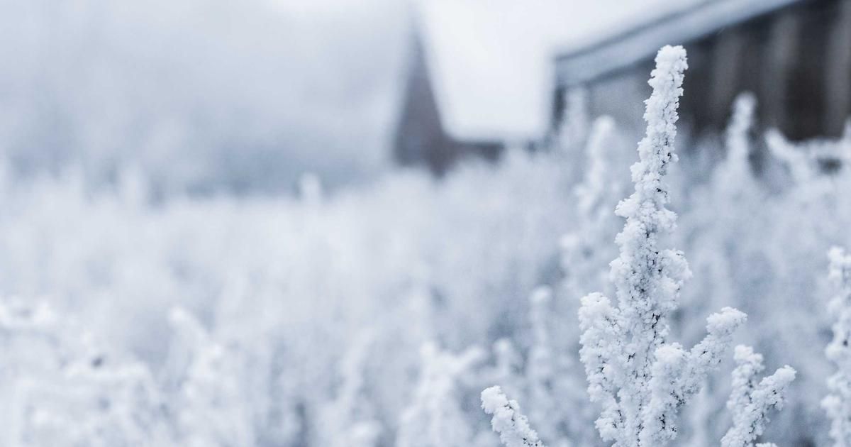 Morgan Stanley: Wall Street's Crypto Entry Is Strategic, Not Speculative