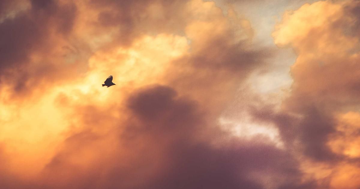 Uniswap Leads Crypto Rally as DeFi Tokens Outpace Bitcoin