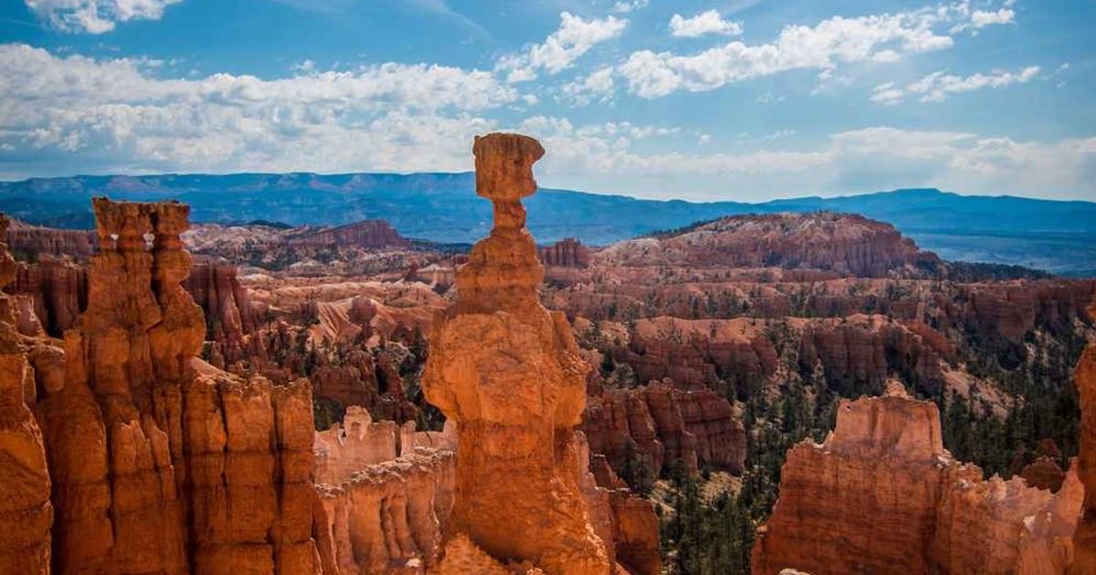 India's Source Code Mandate: Smartphone Security Overhaul & Market Impact 2024