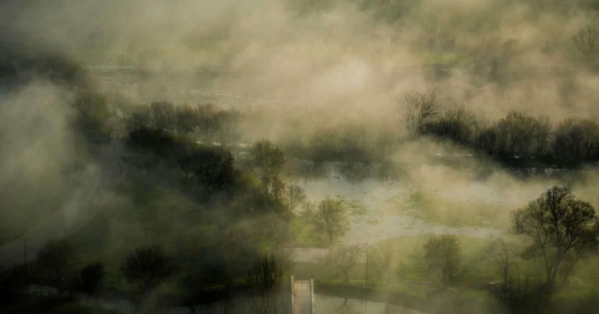 Yorktown Energy Sells $103k in Ramaco Stock: Insider Move or Portfolio Rebalance?