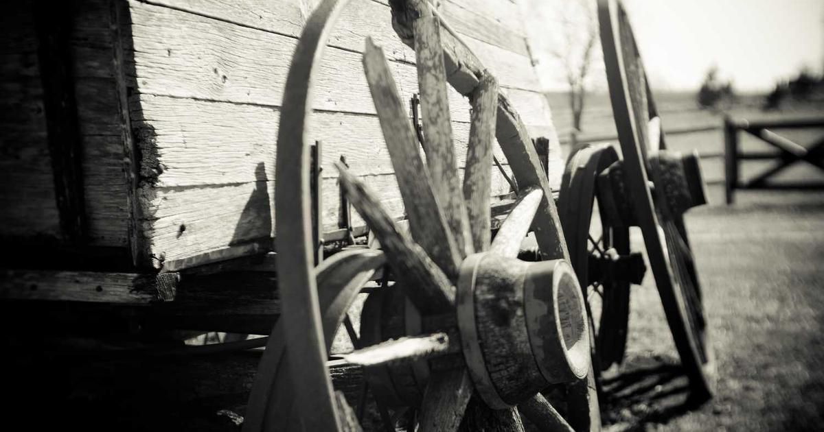 Microsoft, Oracle, ServiceNow: Top Software Stocks for 2024