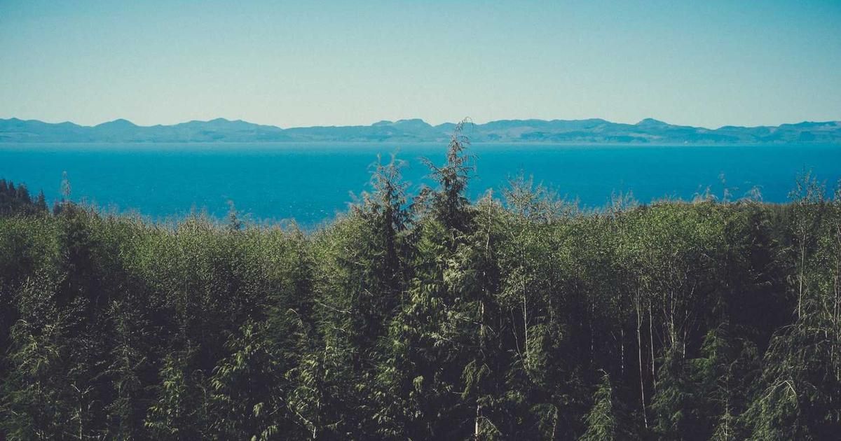 2026 Stock Market Opens Higher: Dow, S&P 500 Break Losing Streaks