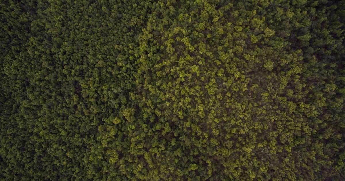 International Markets Outpaced US Stocks in 2025: Trader Insights