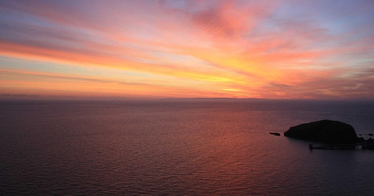 Beyond the Hype: Why This AI Stock Could Outperform in a Volatile Market