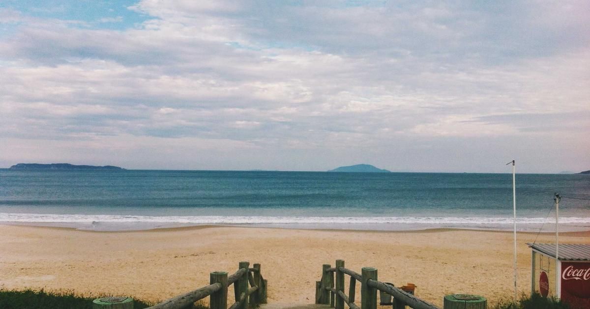 Suspicious Trading Surge Preceded Trump Post, Raising Market Integrity Questions