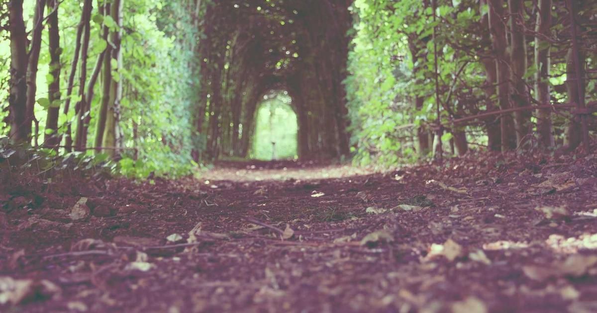 Citizens Reiterates Market Outperform on Roku: Key Catalysts for 2024