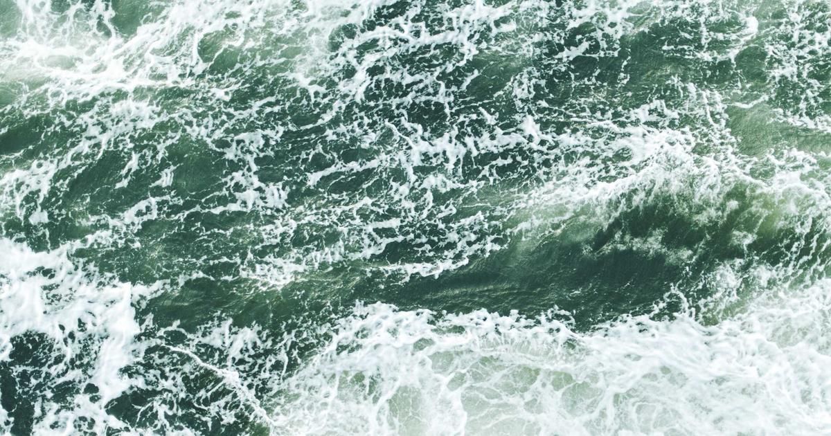 UBS Holds Steady on Apple as App Store Shows Resilience