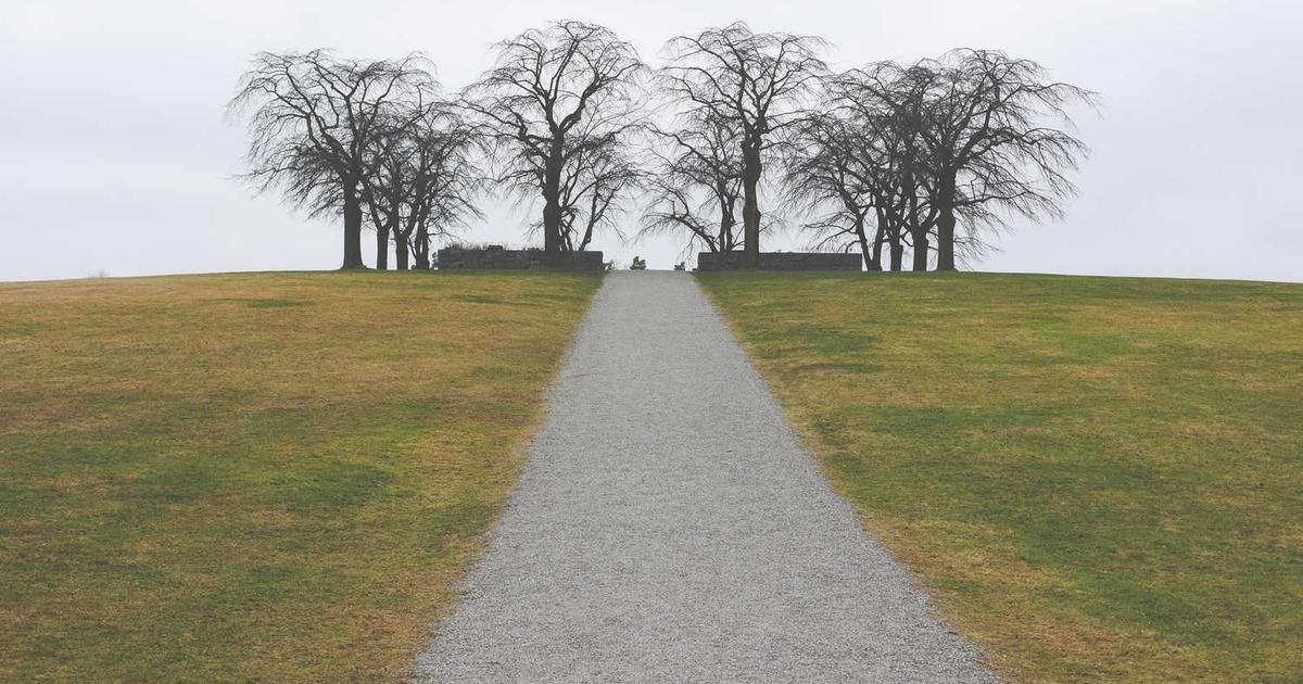 Analyst's Top Picks: Amazon & 2 Stocks With Resilient Demand in 2024