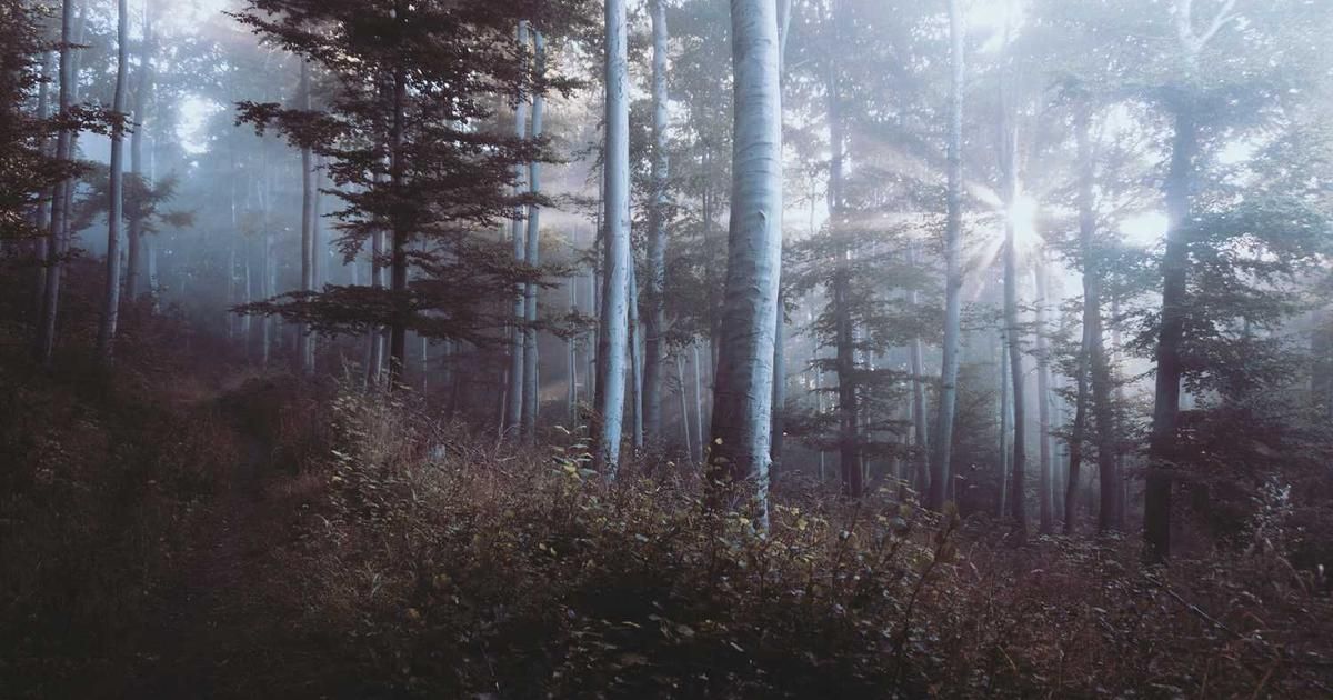 Wisconsin Judge Resigns After Obstructing Migrant Arrest: Market & Legal Fallout