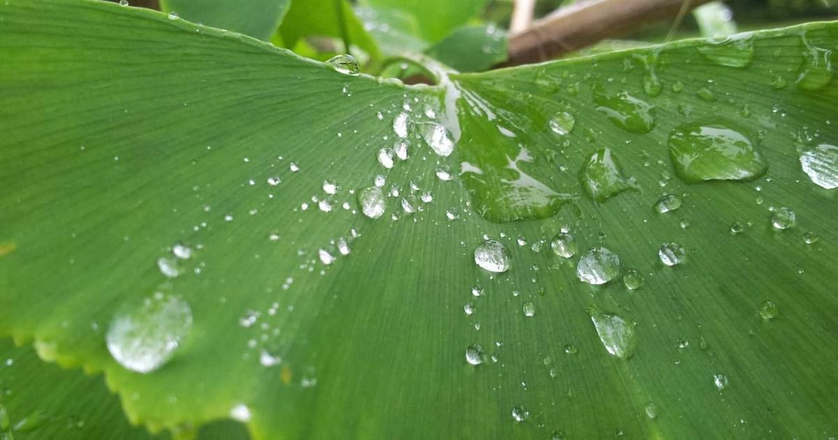 i-80 Gold Soars 144%: Lone Tree Refurbishment Drives Rally