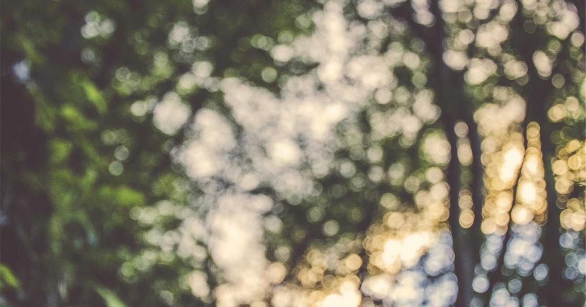 Opera Stock Surges 15% on Tether Integration, Signaling Web3 Adoption